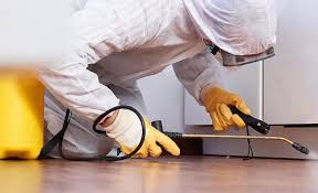 Best Pest Exclusion Services  in Chinle, AZ